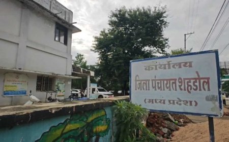 शहडोल के झिरिया गांव में मुरम खरीदी का अजीब मामला, पोर्टल पर बिल अपलोड होने से खुली पोल