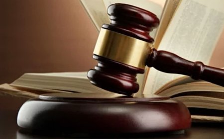 'अपीलकर्ता को फंसाने के लिए की गई खराब जांच'; हाईकोर्ट ने बदला ट्रायल कोर्ट का फैसला, कलेक्टर को दिए निर्देश