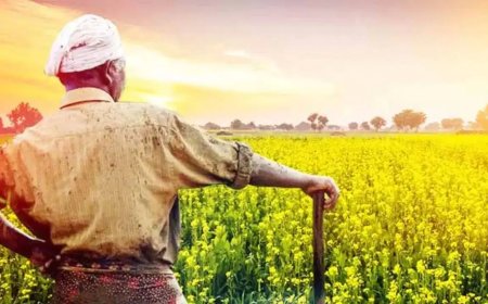 किसानों को हर साल मिलती रहेगी 6000 रुपये की आर्थिक मदद, कैबिनेट ने दी मंजूरी