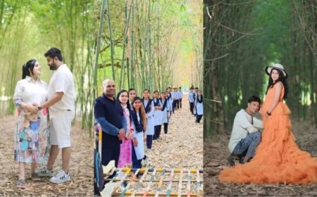 दिल्ली की सरकारी नौकरी छोड़ शुरू की बांस की खेती; नीमच के किसान का खेत बना कमाई का जरिया
