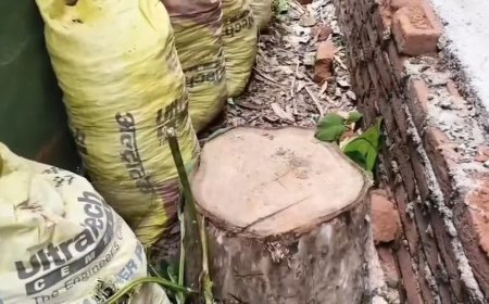 मानपुर वन परिक्षेत्र में सरकारी संपत्ति ही असुरक्षित! अज्ञात चोरों के खिलाफ पुलिस में FIR दर्ज