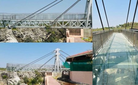 कलेक्टर के निरीक्षण के बाद JTPC संभालेगी ग्लास ब्रिज की कमान; सुरक्षा मानकों पर रहेगा विशेष फोकस