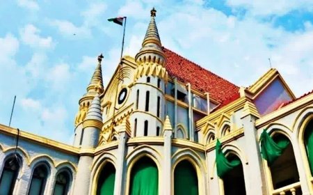 जबलपुर में 19 घोड़ों की मौत का मामला: हाईकोर्ट में पेश हुई जांच रिपोर्ट, फार्म हाउस में चल रही थी डेयरी
