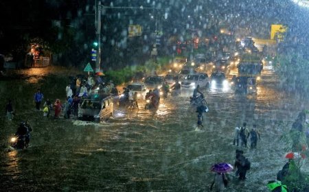 मध्य प्रदेश में मानसून की तबाही; भिंड में रेड अलर्ट, 20 से ज्यादा जिलों में भारी बारिश का अनुमान
