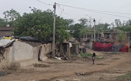 अनोखी परंपरा! गौ-हत्या और हादसों के बाद गांव में 12 साल तक नहीं हुई शादियां, घर से विदा नहीं हो सकीं बेटियां