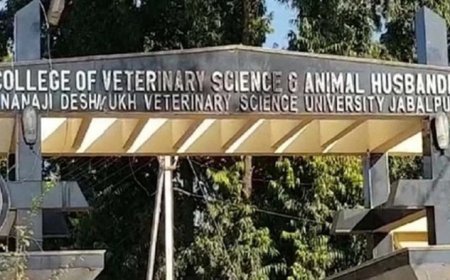 बीवीएससी और बीएफएससी पाठ्यक्रमों में एडमिशन का मौका, बिना नीट के भी ले सकेंगे प्रवेश