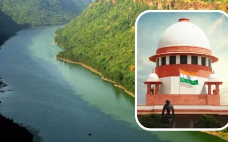 चंबल अभयारण्य में अवैध खनन पर सुप्रीम कोर्ट में सुनवाई; CEC ने सौंपी 15वीं रिपोर्ट