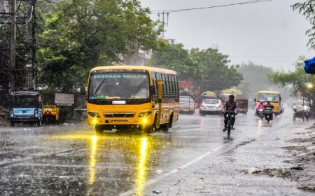 मध्य प्रदेश के 5 जिलों में मूसलाधार बारिश का अलर्ट; भोपाल-इंदौर समेत कई शहरों में वज्रपात की चेतावनी