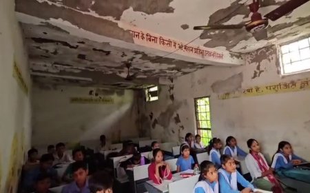 खिरिया असली स्कूल का बुरा हाल; लाखों का बजट खर्च फिर भी छत से रिसता पानी, कब जागेगा शिक्षा विभाग?