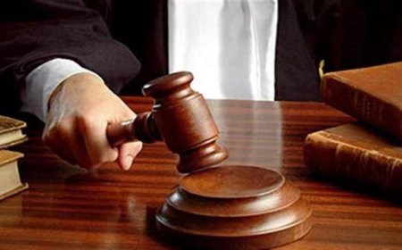 प्राकृतिक न्याय का उल्लंघन! हाईकोर्ट ने मुरार तहसीलदार का आदेश निरस्त किया; जानें 4 प्रमुख फैसले