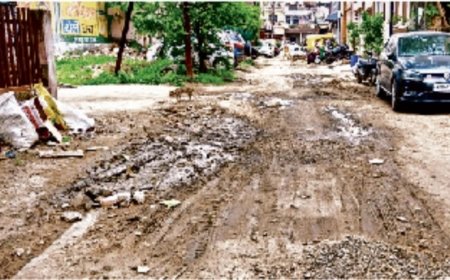 इंदौर में मानसून में भी धड़ल्ले से जारी सड़कों की खुदाई; सुप्रीम कोर्ट कमेटी के निर्देशों की अनदेखी