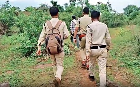 गुना के जंगल में मिला एक पैर कटे तेंदुए का शव, नाखून गायब होने से वन्यजीव तस्करों पर शक