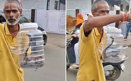 भोपाल में प्लास्टिक के डिब्बे में खतरनाक कोबरा लेकर घूमता दिखा शख्स, दहशत में आए लोग