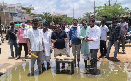 तीन साल से नहीं भरी सड़क, तो कांग्रेस ने गड्ढे में रोप दी धान; प्रशासन की लापरवाही के खिलाफ फूटा गुस्सा