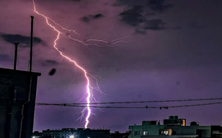 आकाशीय बिजली गिरने से पहले ही मिल जाएगा अलर्ट; प्रशासन ने ग्रामीणों को 'दामिनी ऐप' इस्तेमाल करने की दी सलाह