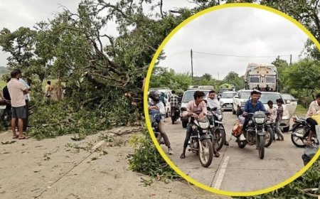 प्रशासन नदारद, ग्रामीणों ने खुद काटा पेड़; हाईवे पर यात्रियों की बढ़ी मुसीबतें