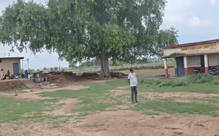 छतरपुर में बरगद के पेड़ के नीचे चल रहा सरकारी स्कूल; बारिश होते ही छुट्टी, 51 इमारतें गायब