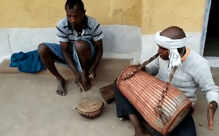 सावन में हरियाली अमावस्या का विशेष महत्व, शतावर और महुआ की डगाल लगाकर करते हैं फसल की रक्षा
