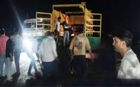 राजगढ़-ब्यावरा हाईवे पर दर्दनाक हादसा, बेकाबू ट्रक की टक्कर से 15 मवेशियों की मौत