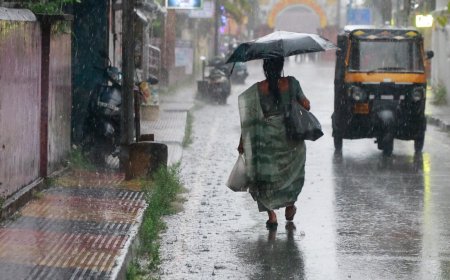 मानसून ने पूरे प्रदेश को किया कवर; सितंबर तक सक्रिय रहने की संभावना, पढ़ें आज का मौसम अपडेट