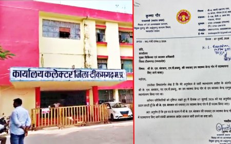 ट्रांसफर रुकवाने के लिए MPW ने लिया AI का सहारा; कलेक्टर विवेक श्रोत्रिय ने ऐसे खोला फर्जीवाड़ा