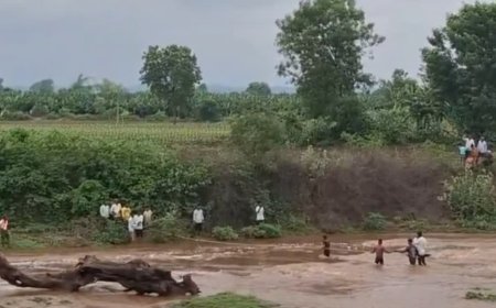 नेपानगर में उफनती नदी में फंसे 3 युवक; ग्रामीणों ने रस्सी के सहारे जान पर खेलकर बचाया