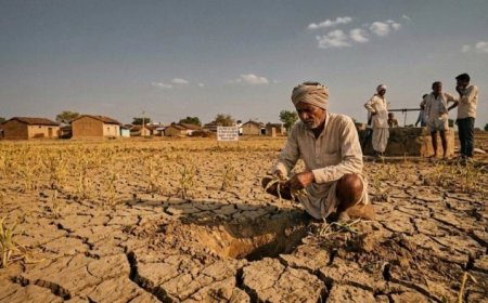 अल्प वर्षा के चलते एमपी में वाटर इमरजेंसी की तैयारी? निजी नलकूपों के अधिग्रहण का आदेश