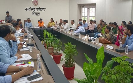 'दिशा' समिति की बैठक में विकास कार्यों की समीक्षा; सड़कों के बार-बार खोदने पर अधिकारियों को लगाई फटकार