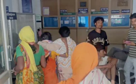 मंडला में एंबुलेंस न मिलने से ऑटो में डिलीवरी; 4 प्रीमैच्योर नवजातों की दर्दनाक मौत