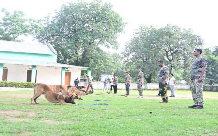बांधवगढ़ में 7वां डॉग रिफ्रेशर कोर्स संपन्न; सतपुड़ा टाइगर रिजर्व की टीम ने हासिल किया पहला स्थान