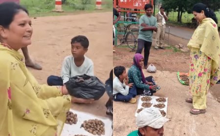 क्या है पुटू सब्जी? जानिए इसके अनोखे फायदे और उमरिया में क्यों है इसकी इतनी चर्चा