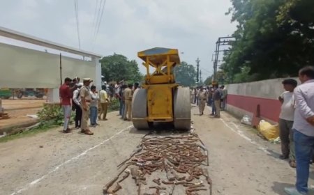 दतिया में उपचुनाव से पहले 628 अवैध हथियारों पर चला रोड रोलर; 19 साल बाद कोर्ट के आदेश पर बड़ी कार्रवाई