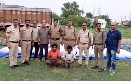 रीवा में मक्के की बोरियों से निकला ₹3.5 करोड़ का गांजा; ओडिशा से यूपी जा रहा ट्रक जब्त