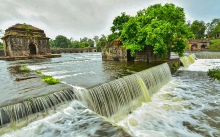 बारिश से खिली कालियादेह की छटा; जानें अब तक कितने प्रतिशत पूरी हुई सीजन की औसत वर्षा