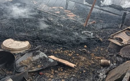 बारिश के मौसम में श्योपुर में सिलेंडर फटने से तबाही; गरीब मजदूर की पूरी गृहस्थी जलकर खाक, मदद की गुहार
