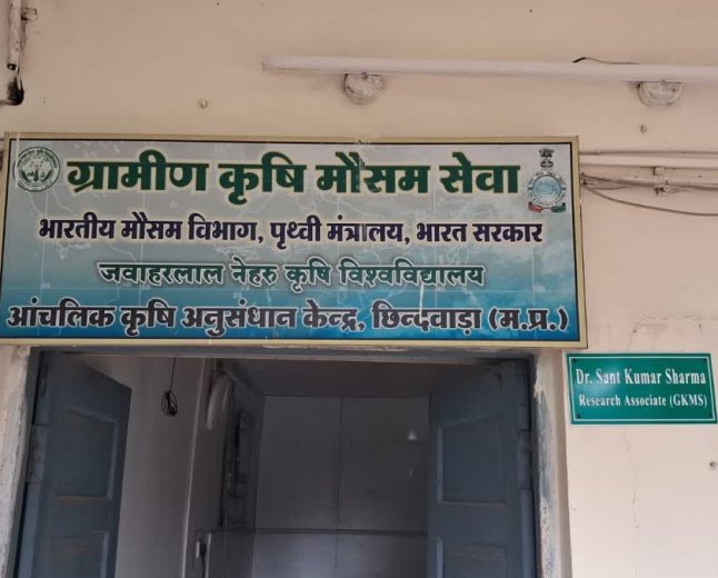 महाकौशल में थमी बारिश से किसान परेशान, मौसम वैज्ञानिक डॉ. संत कुमार शर्मा ने दी बड़ी खुशखबरी