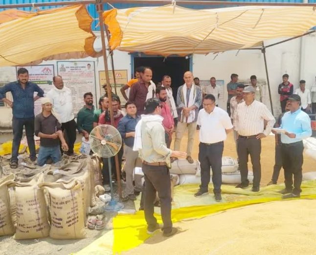 छिंदवाड़ा में ₹44 लाख का गेहूं घोटाला; कागजों में हुई खरीदी, गोदामों से 1,836 क्विंटल अनाज गायब