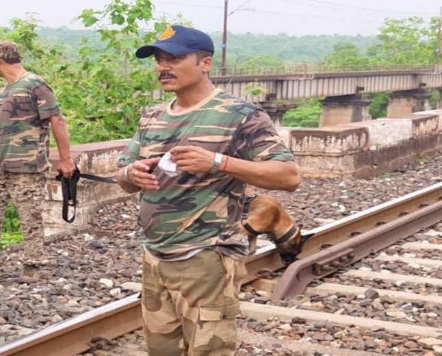 पन्ना के घने जंगलों में बाघ और तेंदुए की मौत, NTCA प्रोटोकॉल के तहत पोस्टमार्टम और जांच शुरू