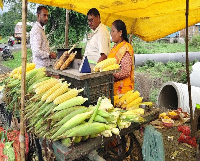 4 लाख हेक्टेयर में मक्का और विदेश तक सप्लाई! छिंदवाड़ा में ₹40 का भुट्टा बना रहा लखपति