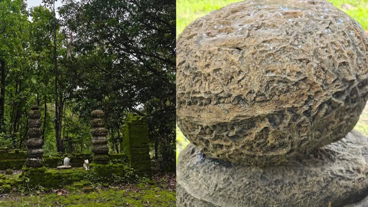 मध्य प्रदेश के डिंडौरी में आदिवासियों द्वारा पूजा जाने वाला पत्थर निकला 6.5 करोड़ साल पुराना कोरल फॉसिल