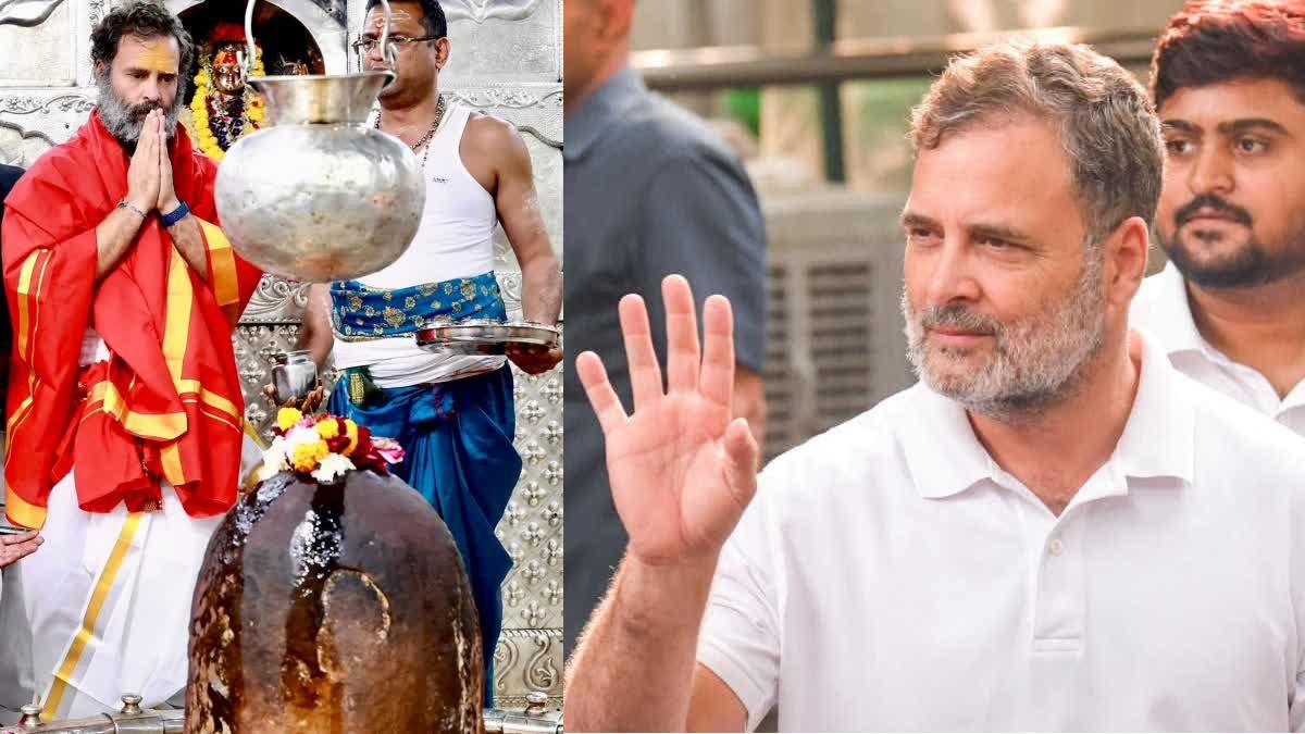 राहुल गांधी के संभावित दौरे की तैयारियां तेज, उज्जैन में संभागभर के पदाधिकारियों के साथ होगी बैठक