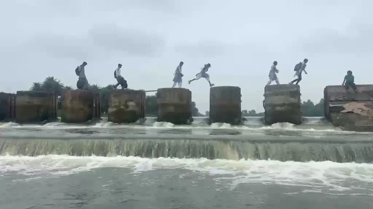 विदिशा में जान जोखिम में डालकर स्कूल जा रहे 10 बच्चे, ऊफनती बेतवा नदी के स्टॉप डैम को पार करने की मजबूरी
