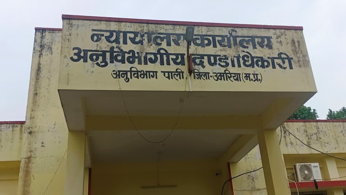 पाली तहसील में अनुपस्थित पटवारियों और कर्मचारियों पर बड़ी कार्रवाई, एसडीएम मीनाक्षी बंजारे ने जारी किया आदेश