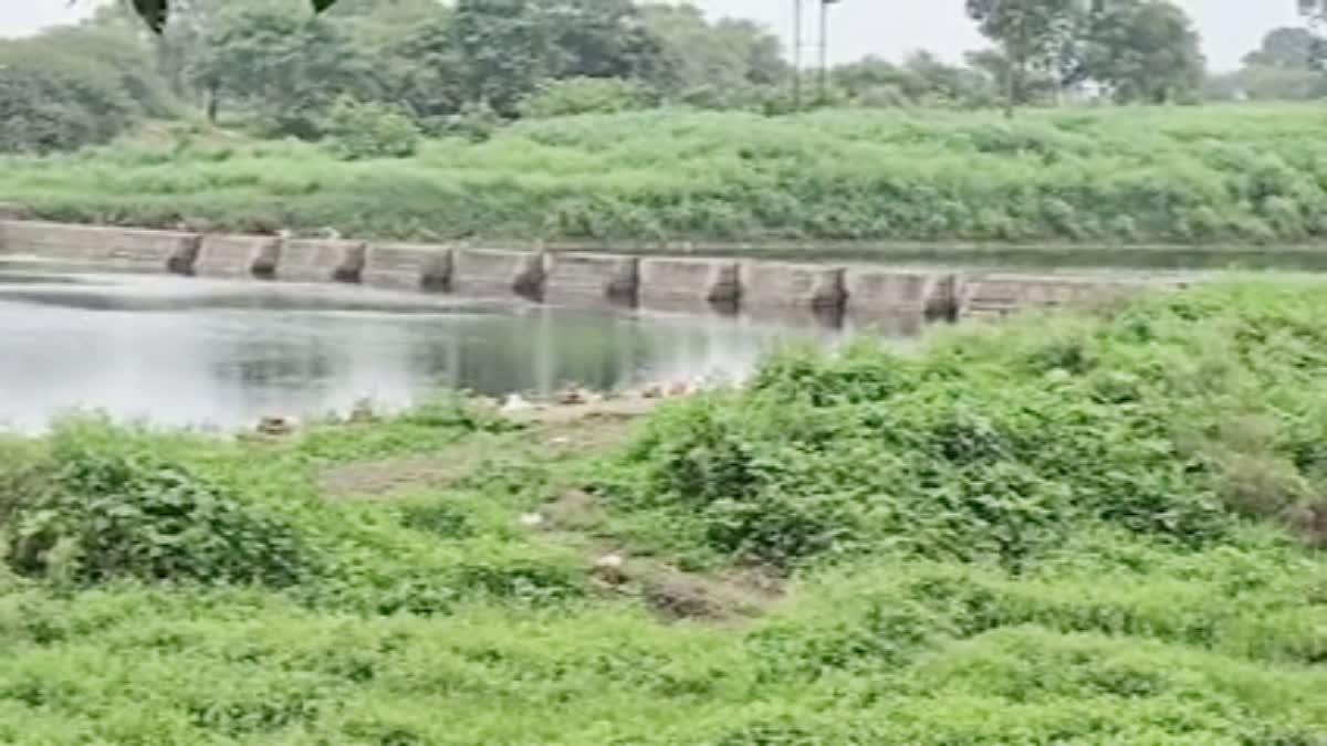 धार में जहरीले केमिकल से काली पड़ी चंबल नदी, पीथमपुर की फैक्ट्रियों पर उठे गंभीर सवाल