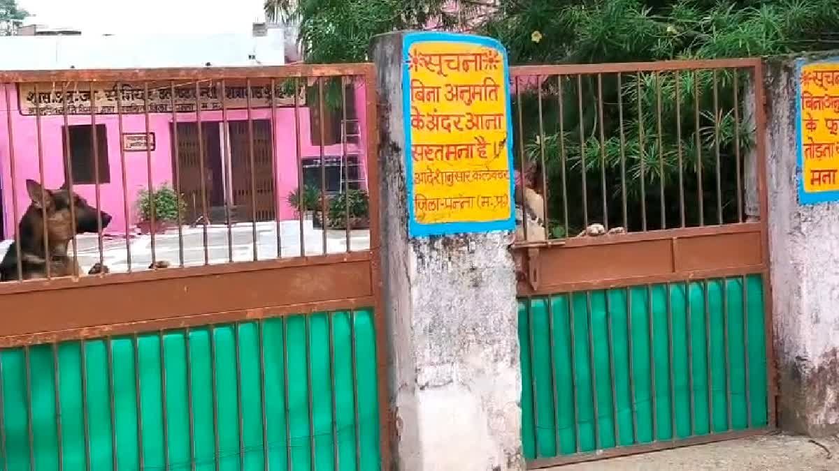 शाहनगर के कन्या छात्रावास में जर्मन शेफर्ड कुत्ते पालने पर विवाद, छात्राओं ने जताई दहशत