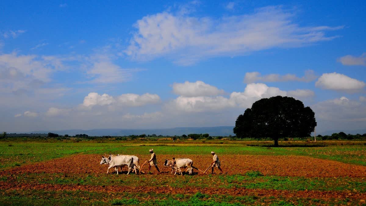मालवा में कम बारिश और गहराते जल संकट पर पर्यावरणविद् पद्मभूषण डॉ. अनिल प्रकाश जोशी की चेतावनी