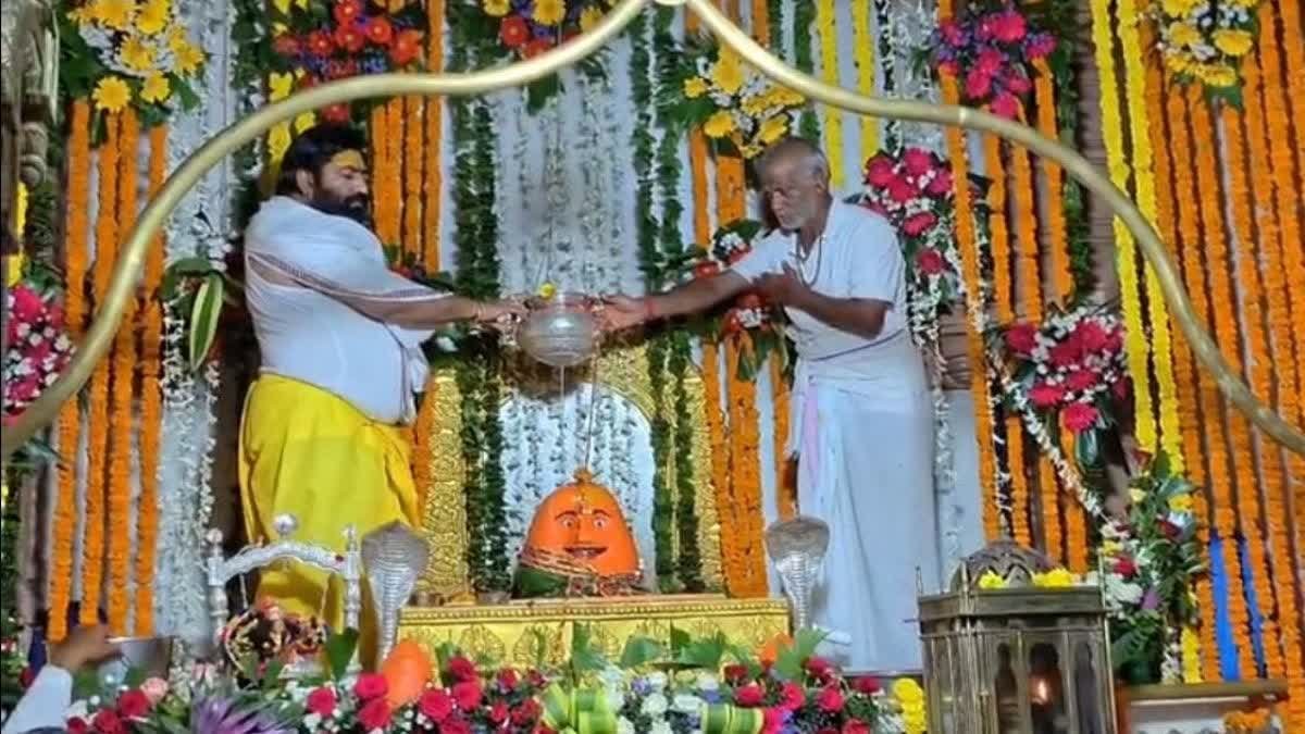 नागलवाड़ी के बाबा भिलट देव मंदिर में नागपंचमी पर उमड़ी 4 लाख भक्तों की भीड़, जानें इतिहास और मान्यता