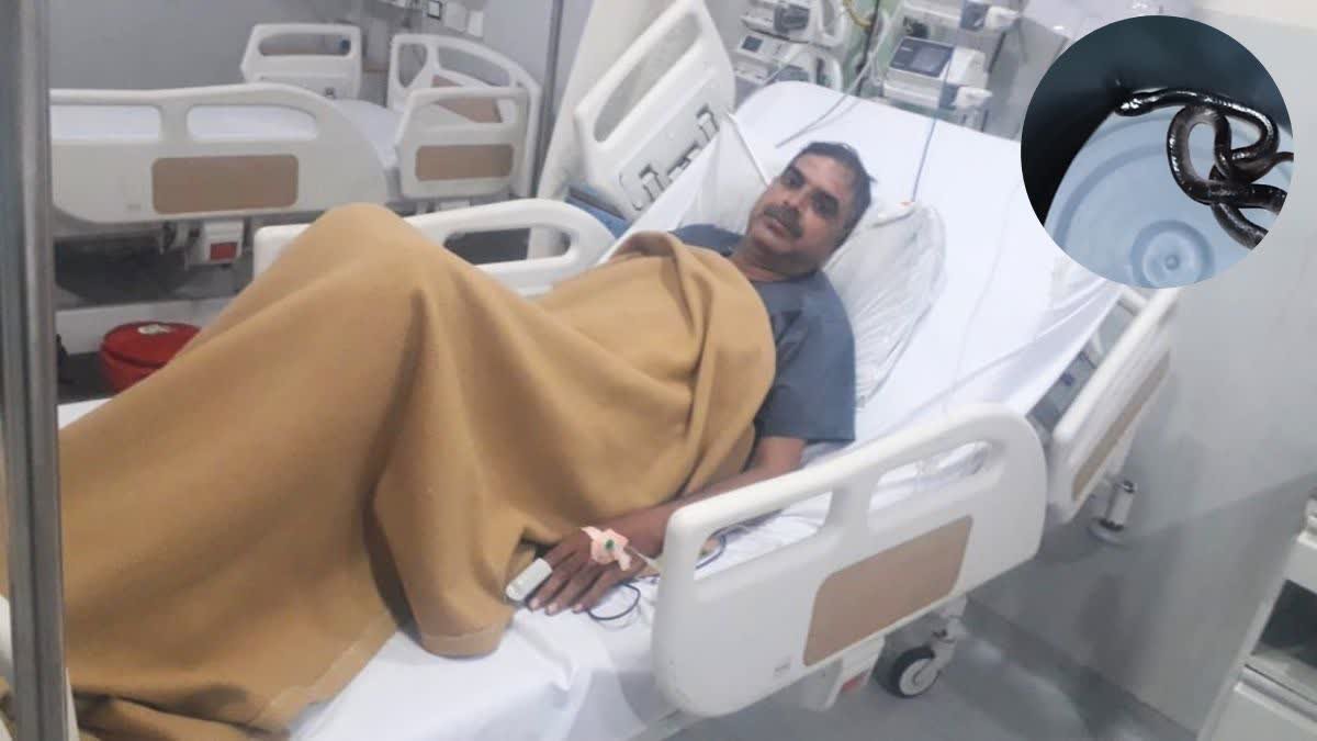 बिजौली थाने में सोते वक्त प्रधान आरक्षक को काटा करैत सांप, AI ने दी सही इलाज की सलाह