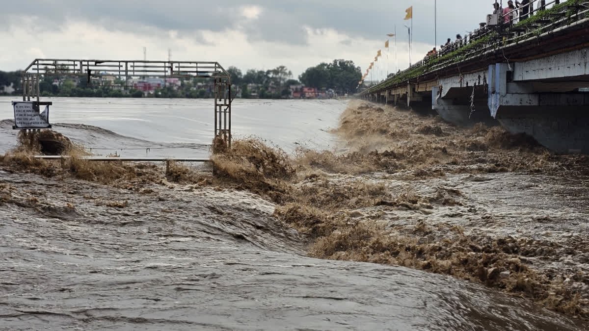 मंडला में मूसलाधार बारिश से उफान पर नर्मदा नदी, कान्हा नेशनल पार्क और अमरकंटक का संपर्क टूटा