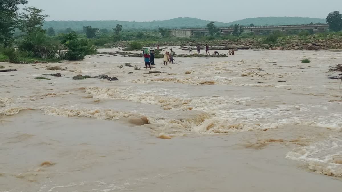 सिंध नदी पार करने को मजबूर गोरा गांव के ग्रामीण, कमर तक पानी में उतरकर जान जोखिम में डालने को विवश लोग